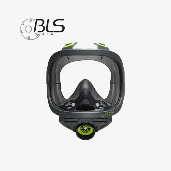 Full Face Mask 2000 Series BLS