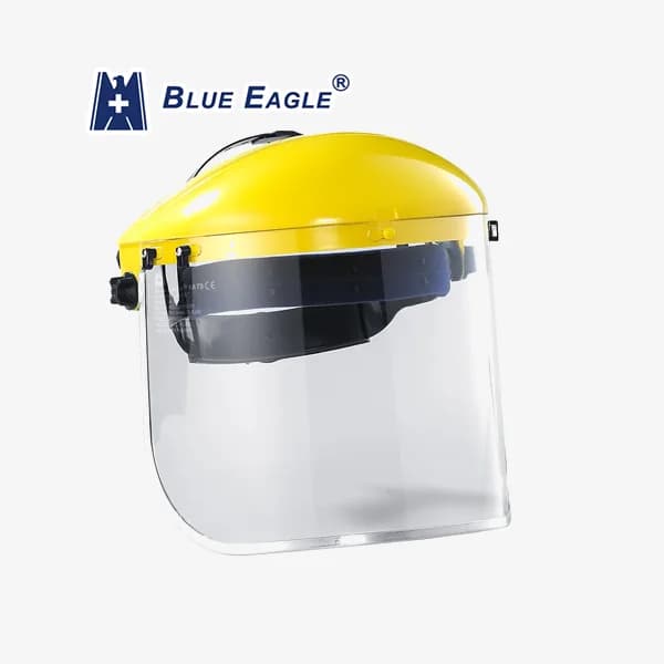 Complete Browguard & Face Shield Visor Set (B1YE + FC48)